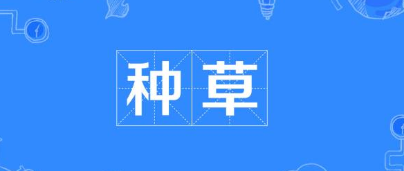 内容是电商绕不过去的槛!
