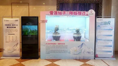 天山雪莲降临宿迁,首度鲜活呈现!